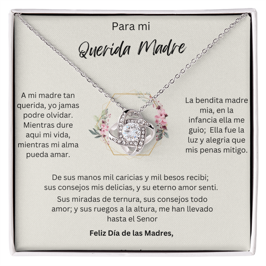 Para Mi Querida Madre